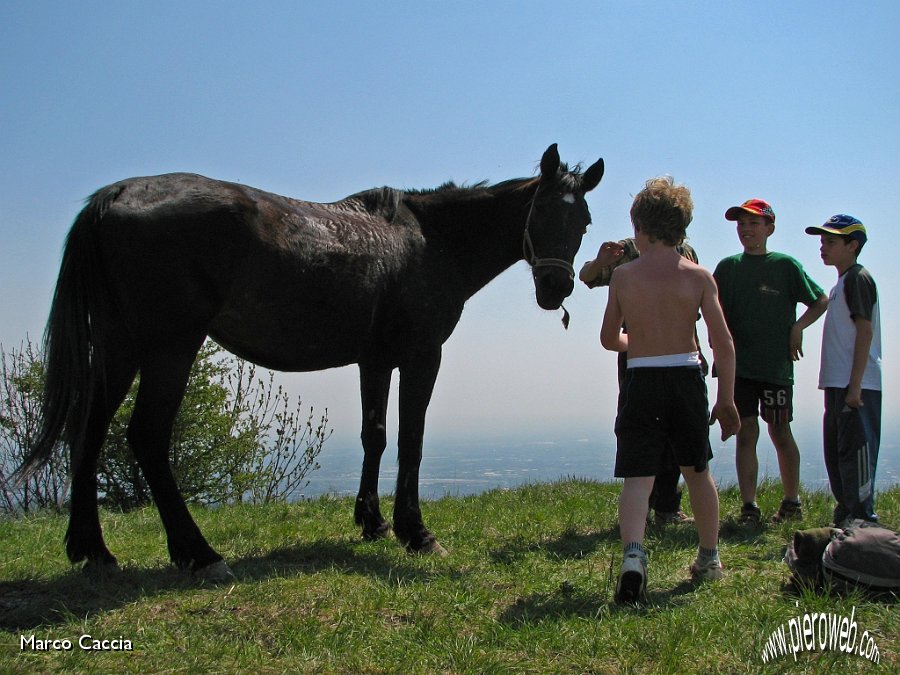 15_Bambini giocano con Stella.JPG